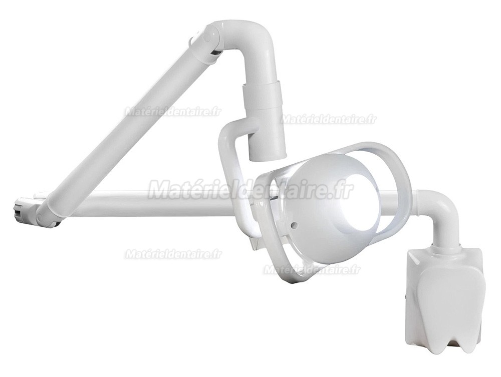 Lampe d'examen ORL dentaire (murale) avec bras